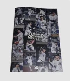 Item thumbnail for item e574bfa4-7a00-4e86-8fdb-82a2d50178eb