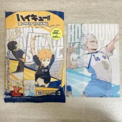 【新品】ハイキュー‼︎ ミニクリアファイル A6 星海光来 鴎台