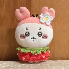 ちいかわ　古本屋　カニちゃん　マスコット　いちご　ケープ　コスチューム　ぬい服