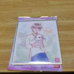 プリキュア 色紙ART7 キュア兎山悟&兎山大福 F