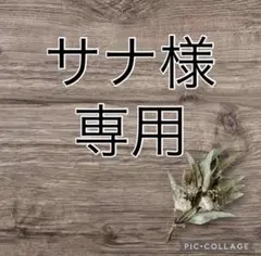 【サナ様専用】おまとめ購入