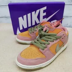 AV2012 NIKE SB DUNK LOW PRO HJ4135-600