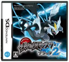 ポケットモンスター DS カセットブラック2 & プラチナ セット売り