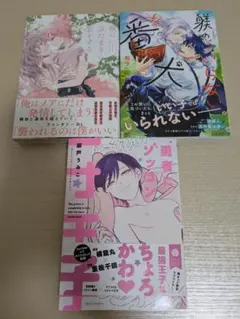ポチャッコ様専用です☆