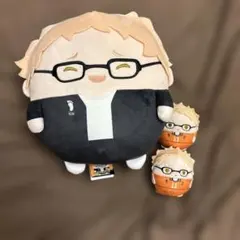 ハイキュー月島蛍ふわコロりんBIG