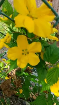 ririka様 リクエスト 2点 まとめ商品