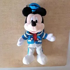 ミッキー ぬいぐるみバッジ ドナルド クワッキーダックシティ パルパルーザ