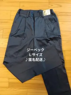 Item thumbnail for item 507a2a09-c444-4348-85db-1d0208bb35d3