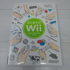 はじめてのWii