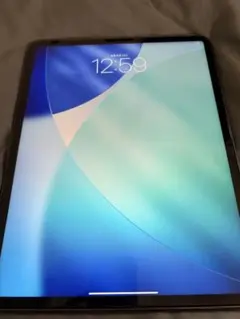 Apple iPad Pro 12.9インチ M1 第5世代 128GB