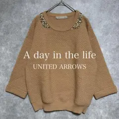 A DAY IN THE LIFE｜アデイインザライフ｜ビジュー ニット