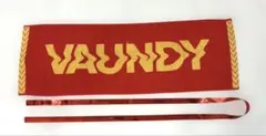 バウンディ　VAUNDY タオル　大阪限定のサムネイル