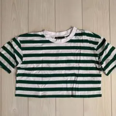 ZARA 緑と白のストライプ クロップドTシャツ S