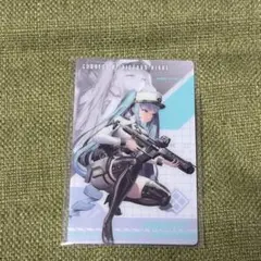 NIKKEメタルカード プリバティ