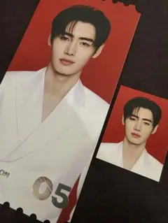 ENHYPEN☆WALK THE LINE チケットとミニフォトセット ソンフン