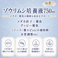 特濃 ゾウリムシ培養液 750ml 培養錠付き！のサムネイル
