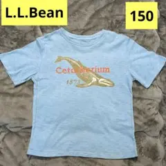 L.L. Bean　 半袖Tシャツ カットソー　 160