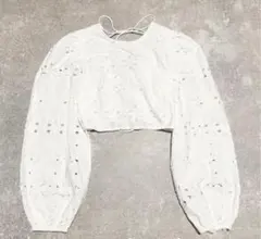 ZARA⭐︎刺繍入りホワイトクロップドブラウス⭐︎美品