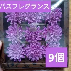 Item thumbnail for item a74c2c22-b87c-4d48-b51f-37e2293bfc33