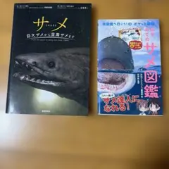 サメの書籍 2冊セット 巨大ザメから深海ザメまで