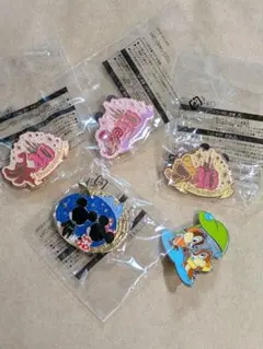 ピンバッジ 　5個セット（東京ディズニーランド）