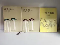 有島武郎 或る女 上下巻 一房の葡萄　3冊セット