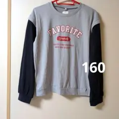 綿100% 長袖カットソー 160サイズ グレー