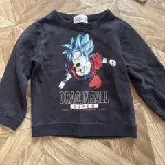 Item thumbnail for item 2b91151b-2071-4f15-ba00-cb84473dcdf7