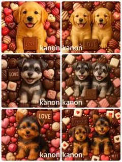 P387 パネル生地　ゴールデンレトリバー　チョコ　18×18 6枚1セット