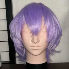 あんさんぶるスターズ！！ あんスタ 花群冬芽(ユメ) コスプレウィッグ