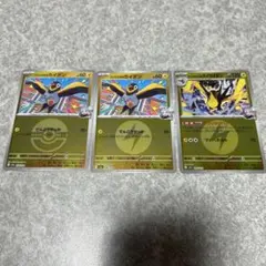 M2a ナンジャモのカイデン　ナンジャモのタイカイデン　ミラー　進化ライン