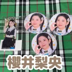 おしん様 リクエスト 2点 まとめ商品