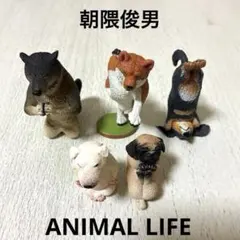ANIMAL LIFE 朝隈俊男 犬シリーズ まとめ売りのサムネイル