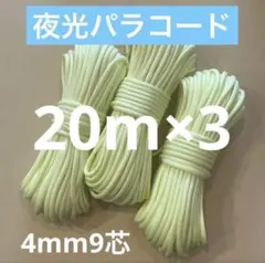 Item thumbnail for item 2c9468c3-4c26-4d1d-8153-baa2d1d3f974