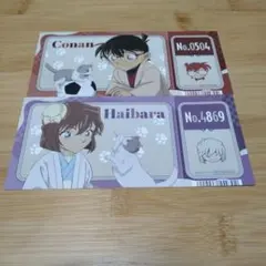 アニメイト 特典 名探偵コナン チケット風カード 江戸川コナン 灰原哀