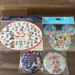 ディズニー　リゾート　ランド　ステッカー　缶バッジ　缶バッチ30周年