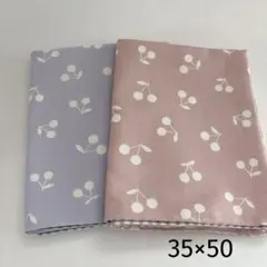 ハンドメイド 35×50 ランチョンマット2枚セット　女の子　小学校　大きめ