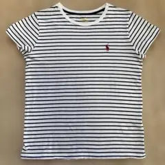Polo Ralph Lauren ストライプ Tシャツ Sサイズ