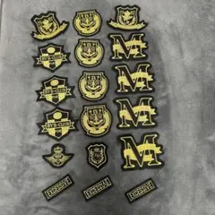 昭和ビンテージ　エンブレム　勲章ワッペン　Mワッペン など18点　8〜11cm