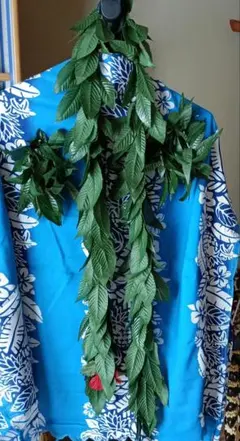 Item thumbnail for item 1bd867c4-2752-4b32-8b66-db1de54bea11