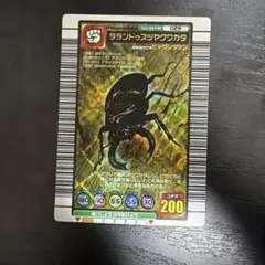 ✡*✡様 タランドゥスツヤクワガタ 2005 夏限定デザイン ARS10 PSA ✡*✡様 タランドゥスツヤクワガタ 2005 夏限定デザイン ARS10 PSA