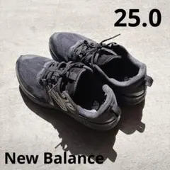 Item thumbnail for item fd6b5a13-d506-49d4-976e-8ed1276f66cf