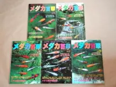 ★ メダカ百華 第4号～第8号 5冊セット ★