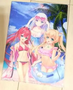 VA夏フェス サマポケ クリアファイル 2種 スピードくじ　サマーポケッツ