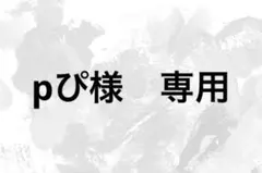 pぴ様　専用