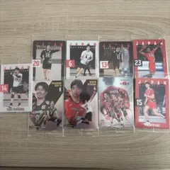 バンダイ　ツインウエハース　バレーボール 日本代表選手カード