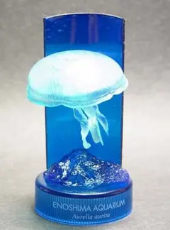 2026年最新】新江ノ島 くらげの人気アイテム - メルカリ