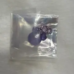 TWICELOVELYSグミ＆チャーム ポーチつき サナ