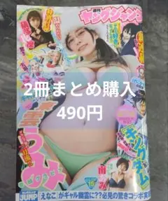 Item thumbnail for item f0349ce7-0da9-4155-912b-905bde4d0b98