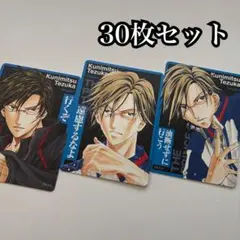 手塚国光　あぁんって言うゲーム　ボードゲーム　テニスの王子様　テニプリ　30枚